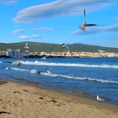 Apartament Deluxe In Cascadas Family Sunny *