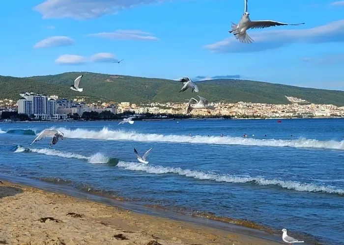 Apartment Deluxe In Cascadas Family Sunny *